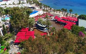 Marvida Senses Very Chic Bodrum Adult Only